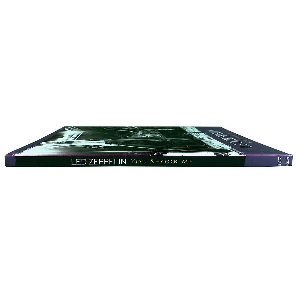 Book <br>You Shook Me (UK) - Image 3