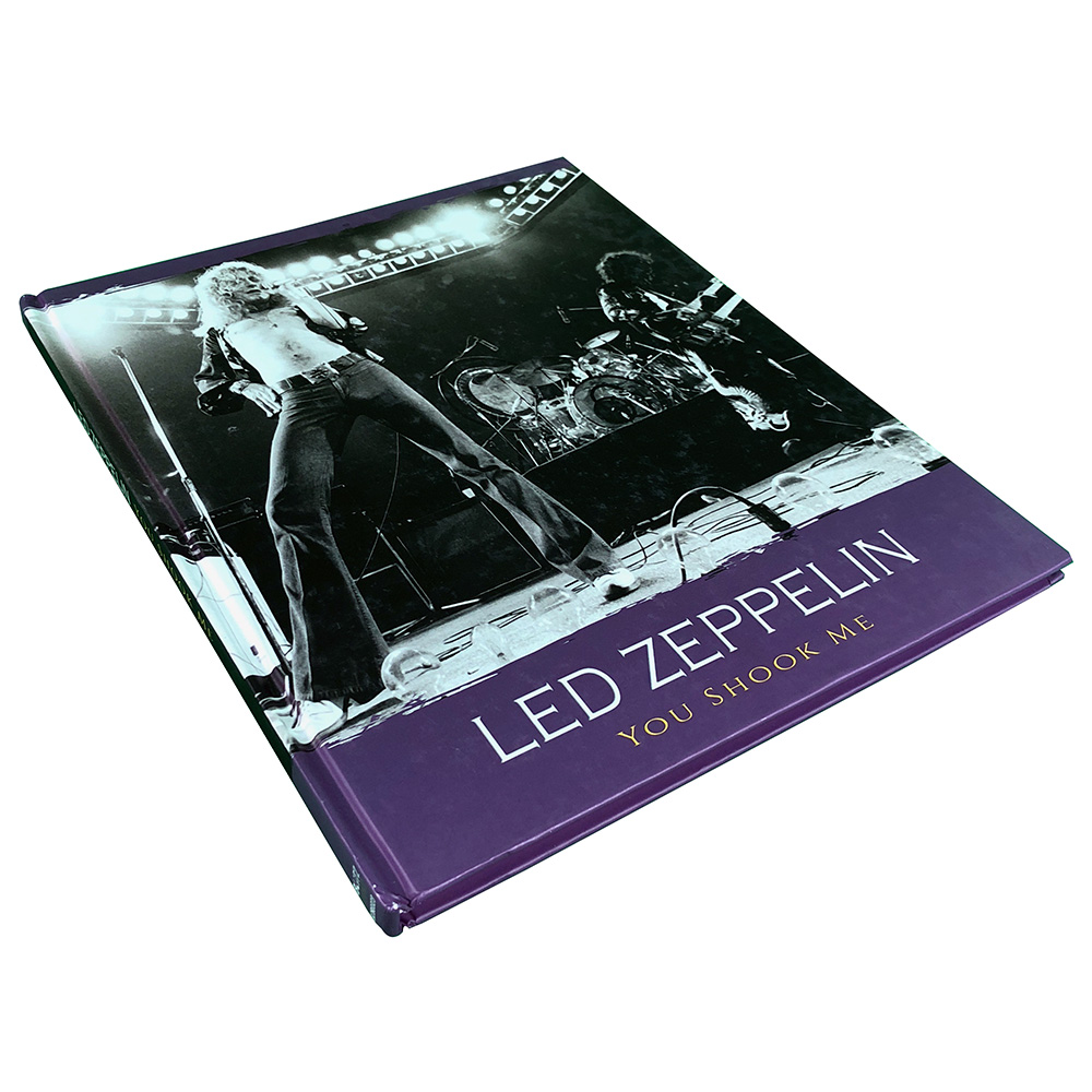 Book <br>You Shook Me (UK) - Image 2
