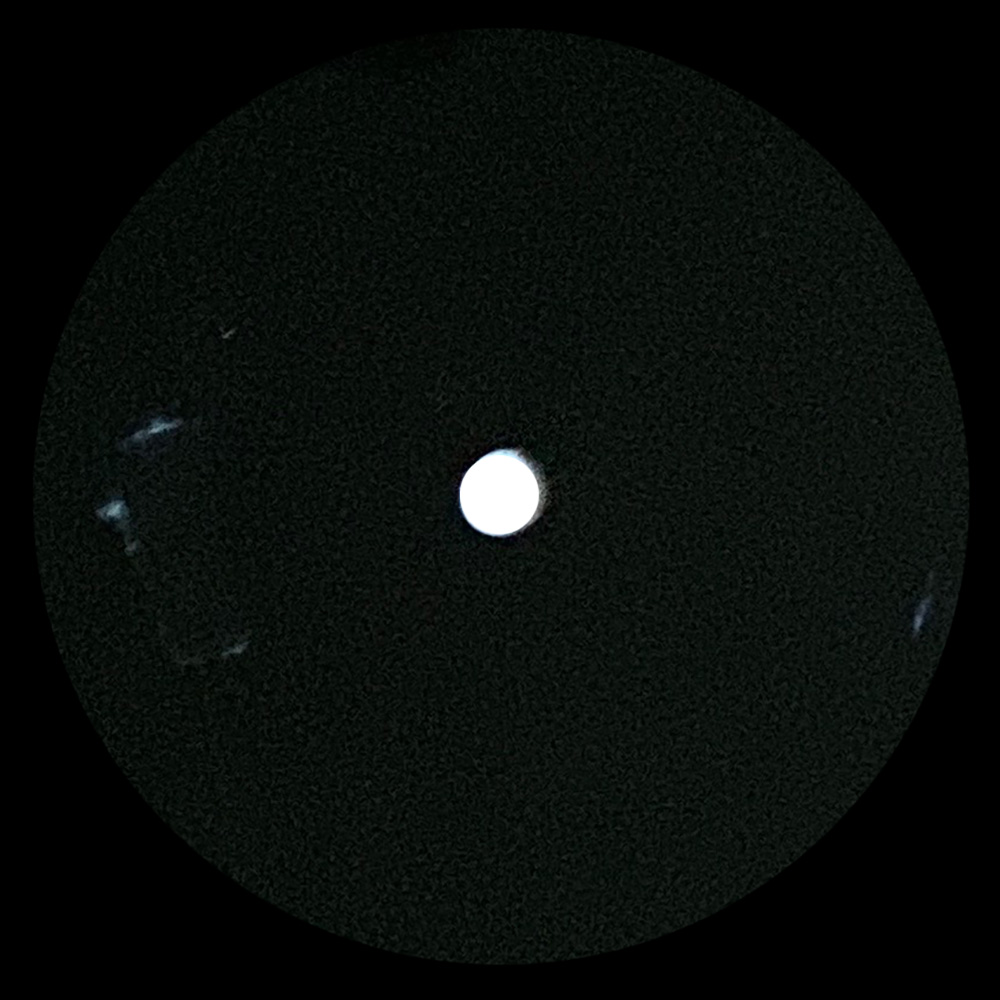 Single <br>United Kingdom (N/A) <br>Immigrant Song (Acetate) - Image 2