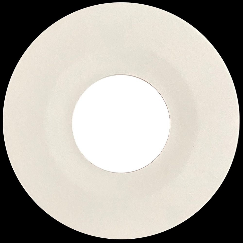 Single <br>Germany (SS 19421) <br>Fool In Rain / Hot Dog (Test Pressing #1) - Image 2